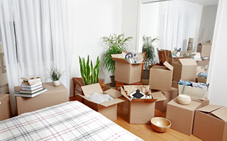 自分の部屋の片づけ、ごみ処理